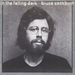 Buy In the Falling Dark (Vinyl)