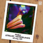 Buy Tivoli Utrecht, Netherlands 1997 (FRC-22) CD1