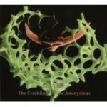 Buy The Crackling of the Anonymous