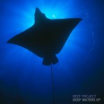 Buy Deep Waters (EP)