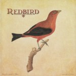 Buy Redbird