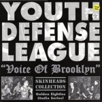 Buy Voice Of Brooklyn (Vinyl)