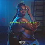 Buy Amusing Her Feelings CD1