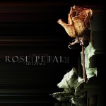 Buy Rose Petal (CDS)