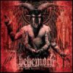 Buy Zos Kia Cultus (Here And Beyond)