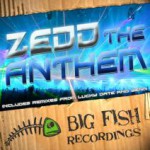 Buy The Anthem (CDS)