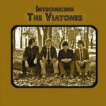 Buy Introducing The Viatones