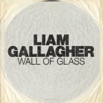 Buy Wall Of Glass (CDS)