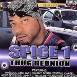 Buy Thug Reunion