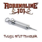 Buy Twelve Step Program