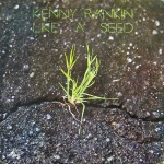 Buy Like A Seed (Vinyl)