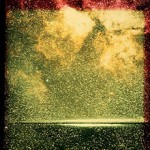 Purchase Musée Mécanique From Shores Of Sleep