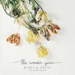 Buy Burst & Decay (An Acoustic EP)