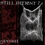 Buy Salamand