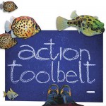 Buy Action Toolbelt