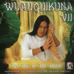 Buy VII: The Sun Of The Inka's