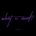 Buy What U Need? (CDS)