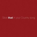 Buy Stick That In Your Country Song (CDS)