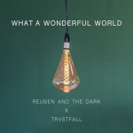 Buy What A Wonderful World (Acoustic) (Feat. Trvstfall) (CDS)