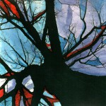 Buy Into The Autumn Shade