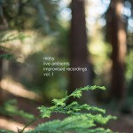 Buy Live Ambient Improvised Recordings Vol. 1