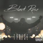 Buy Black Rose