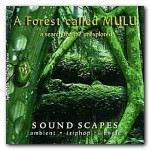 Buy A Forest Called Mulu - A Serach For The Unexplored