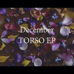 Buy Torso (EP)
