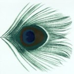 Buy Apple Venus, Pt. 1