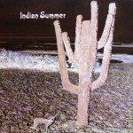 Buy Indian Summer