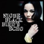 Buy Blackbird's Echo