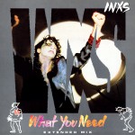 Buy What You Need (Extended Mix) (VLS)