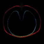 Buy Wasp Star (Apple Venus, Pt. 2)