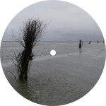 Buy Dubs Etched Into Relief (EP)