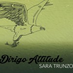 Buy Dirigo Attitude