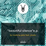 Buy Beautiful Silence (CDS)