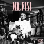 Buy Mr. Fini