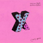 Buy X&Y (Digital Farm Animals Remix) (CDS)