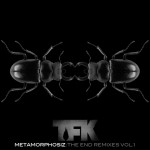 Buy Metamorphosiz: The End Remixes, Vol. 1