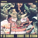 Buy Court The Storm