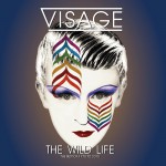 Buy The Wild Life - The Best Of, 1978 To 2015