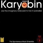 Buy Karyobin (Vinyl)