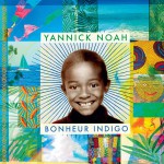 Buy Bonheur Indigo