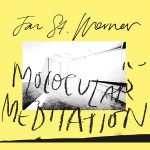 Buy Molocular Meditation (EP)