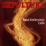 Buy Dead Embryonic Cells (CDS)