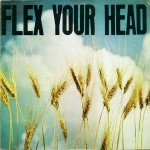 Buy Flex Your Head (Vinyl)