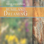 Buy Bushland Dreaming