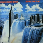 Buy Flying The Flag (Vinyl)