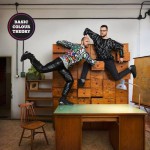 Buy Basic Colour Theory