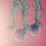 Buy A Few Years Later (CDS)